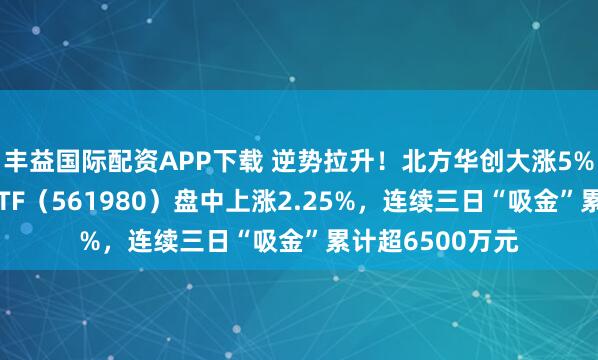 丰益国际配资APP下载 逆势拉升！北方华创大涨5%，半导体设备ETF（561980）盘中上涨2.25%，连续三日“吸金”累计超6500万元